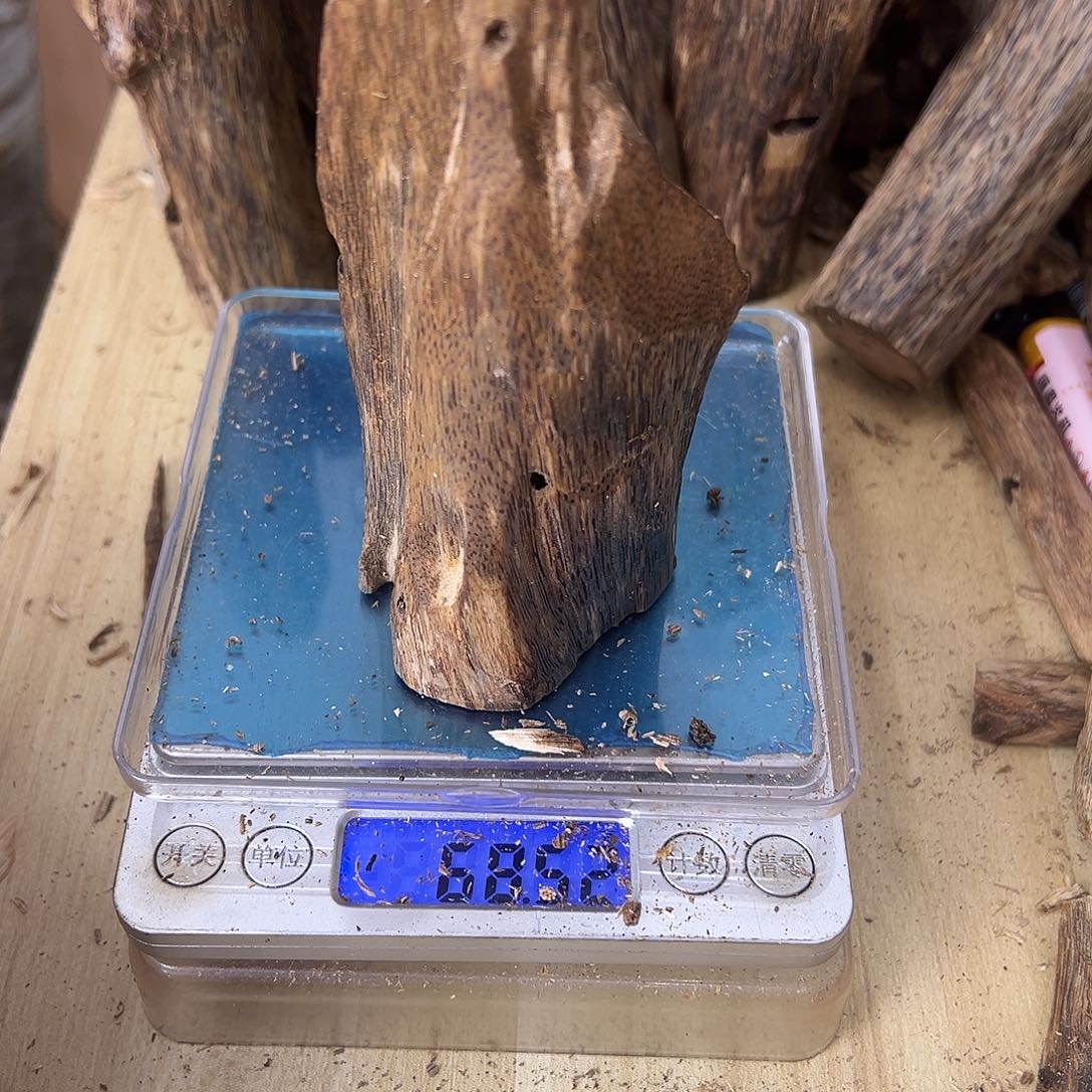 香料绿奇楠虫漏68克乌身