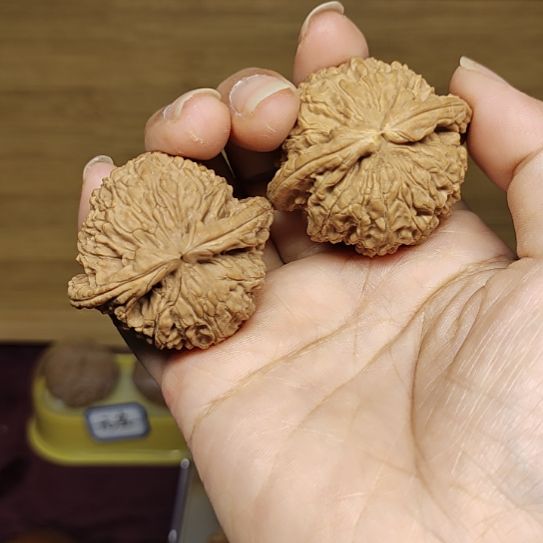 核桃手串/手链白狮子42