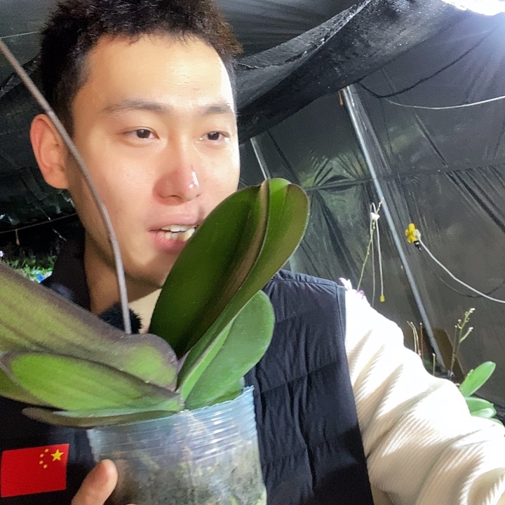 无花朵牛记黑脸福利