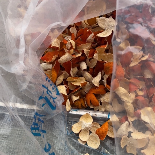 红橘四川川红橘陈皮新25年