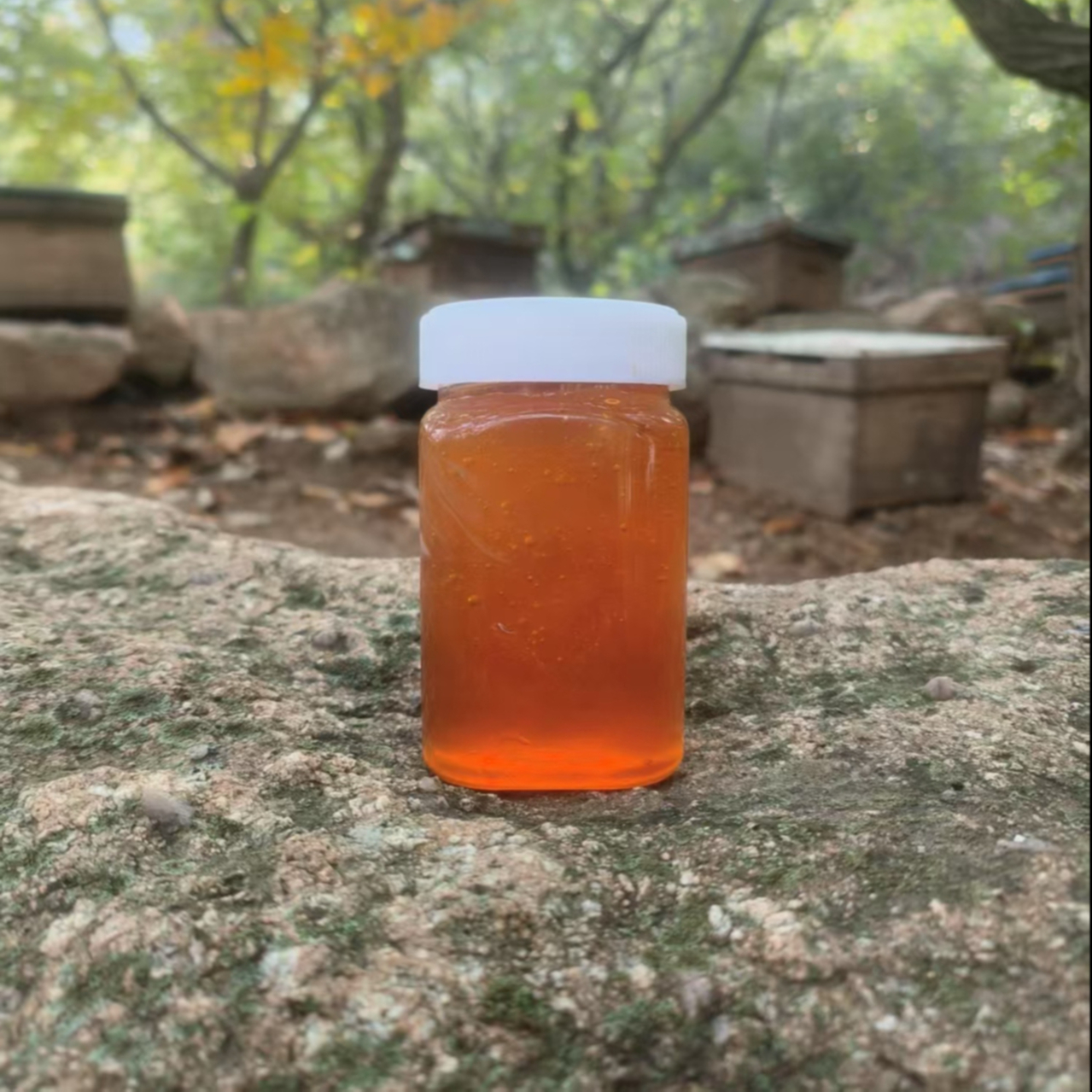 【李霞】农家土蜂蜜深山土蜂蜜