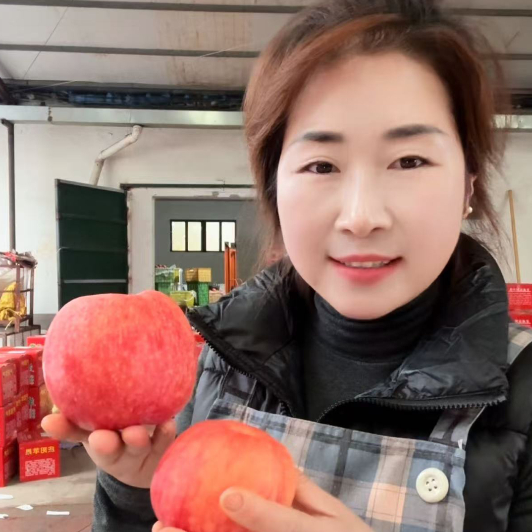 正宗甘肃庆阳【高端秦脆苹果】脆甜多汁新鲜采摘果园直发老少皆宜