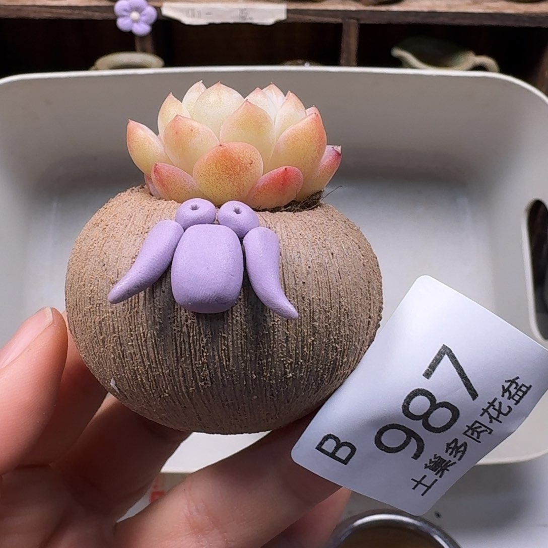 罐陶瓷艺术品设计与制作