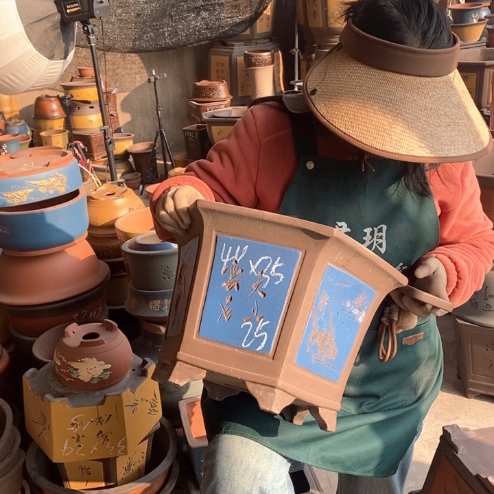 紫砂花盆盆栽花卉苗木种植