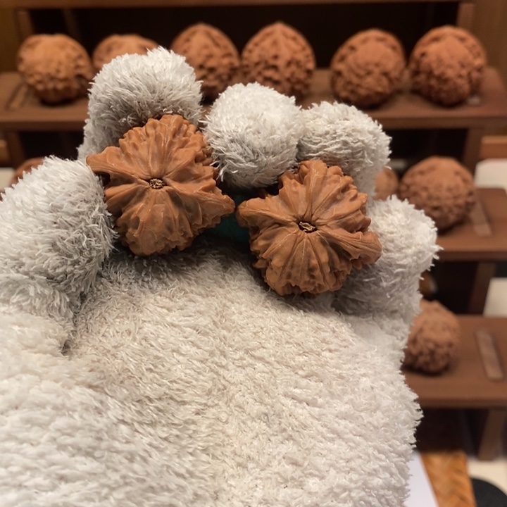 浣***嘉36+ 磨盘狮子头核桃