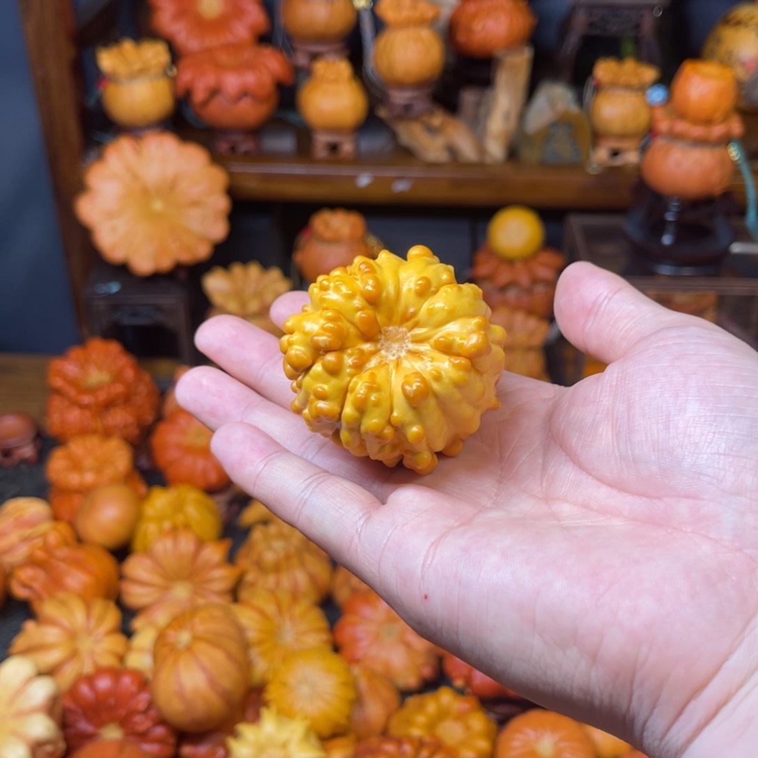 •**子葫芦葫芦葫芦葫芦