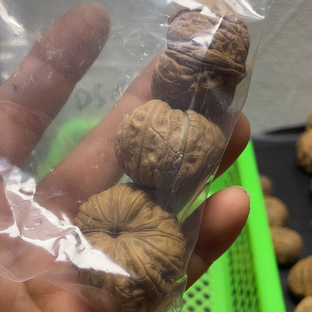 秋***凡文玩核桃吊坠不退不换