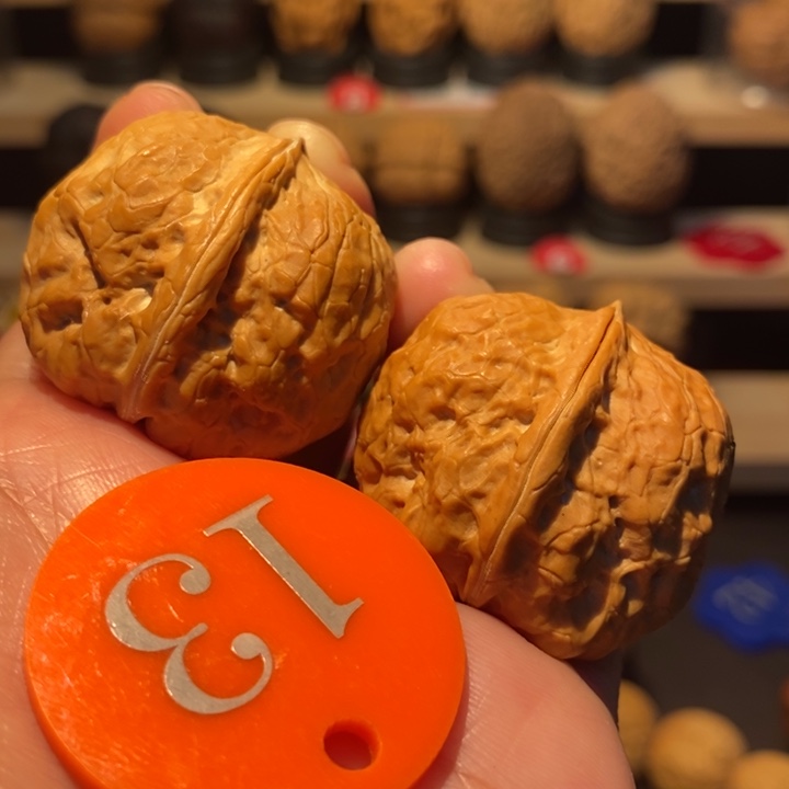 木质类金龟玉甲35尺寸