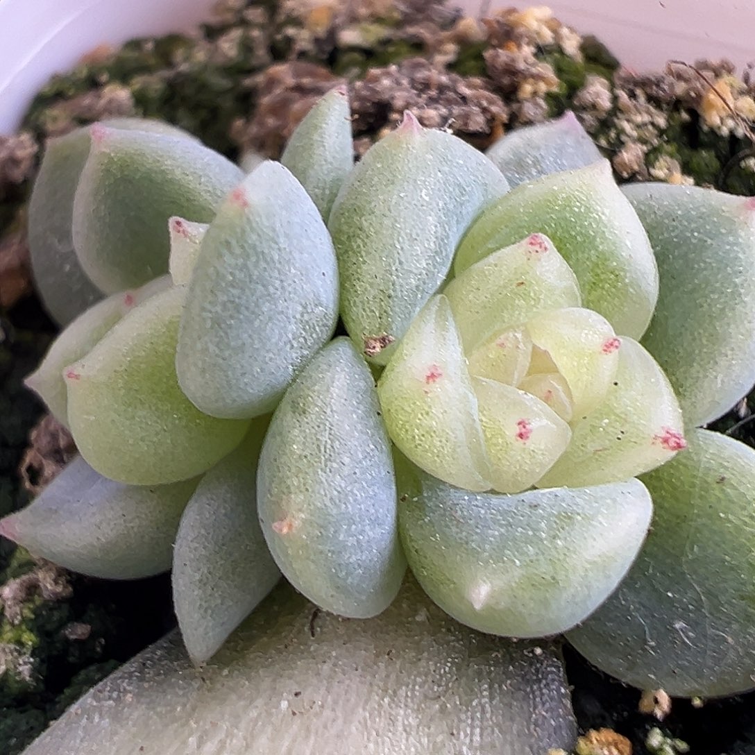 财富密码混和。     