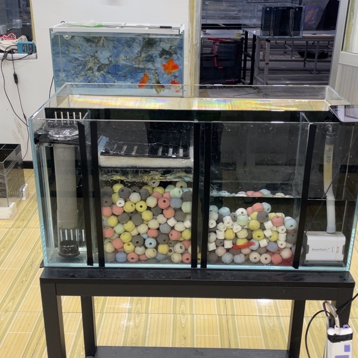 台***生100 45 45背单全套