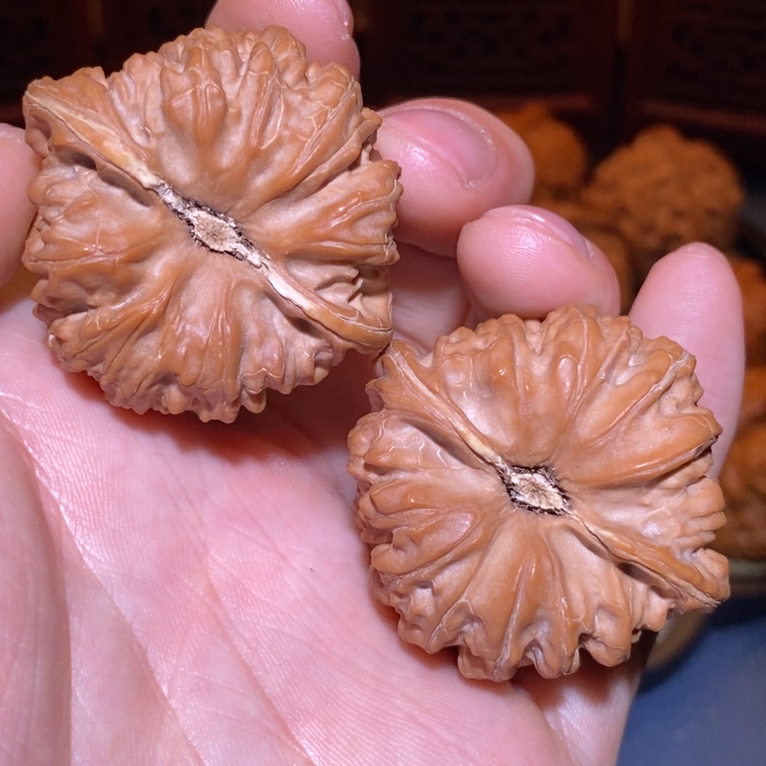 41尺 全品白茬 平谷凹底