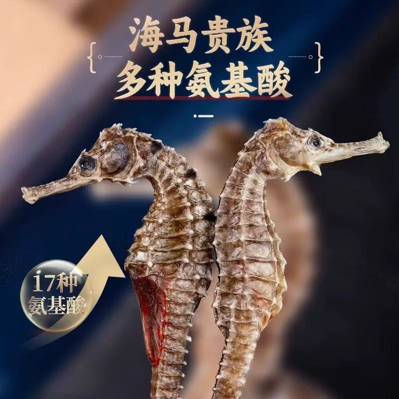【正品保真】北方冷水海马干原产地直发 新鲜晾晒 泡酒煲汤 
