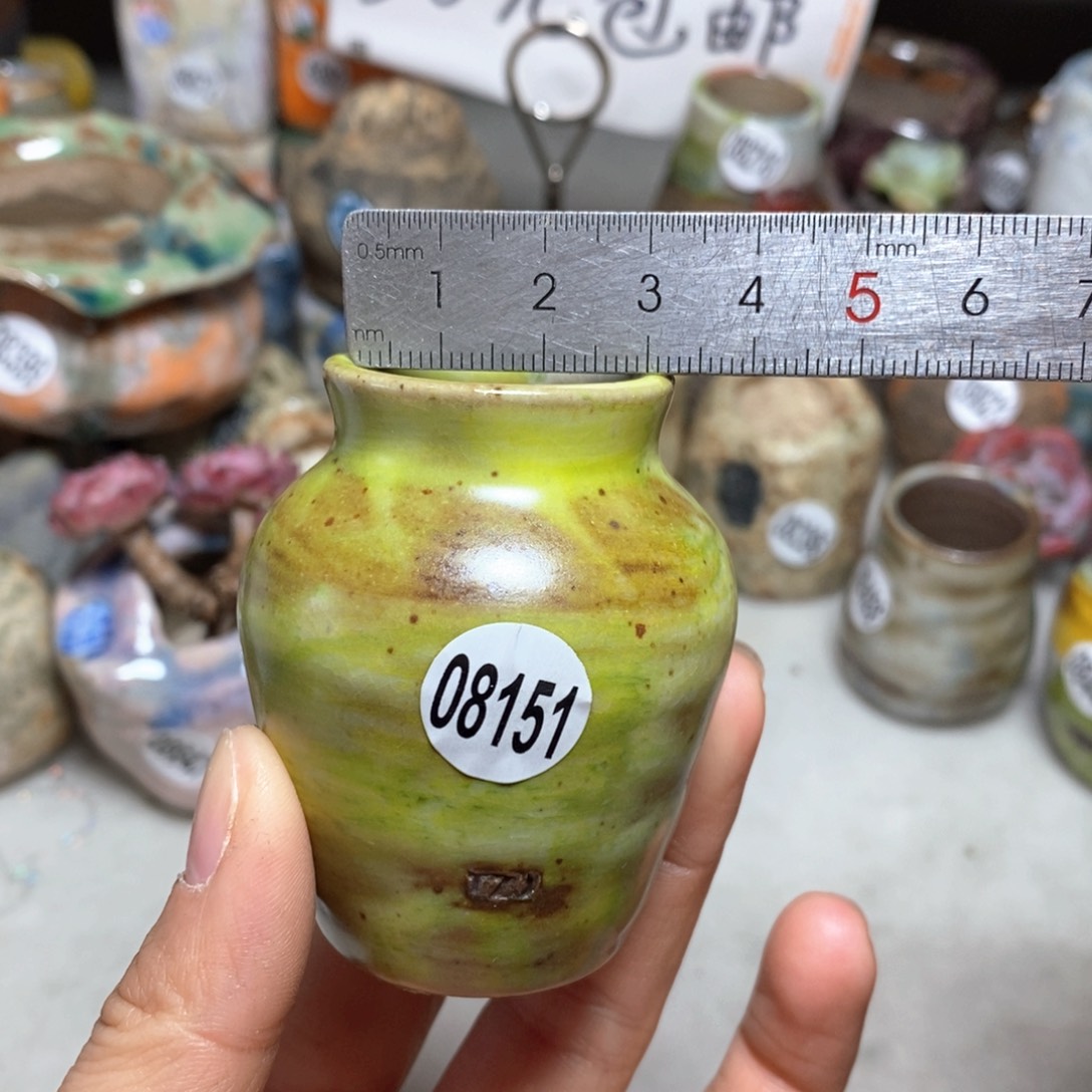 花盆拍5送一个小礼物