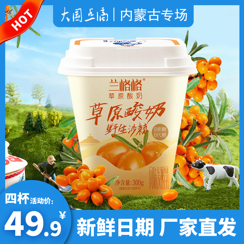 兰格格野生沙棘酸奶零蔗糖内蒙古乌兰察布低温酸牛奶发酵乳乳制品