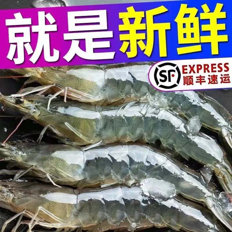 20/30大号海洋大虾13-16cm/只 12-15只/斤 速冻锁鲜冷冻发货 4斤