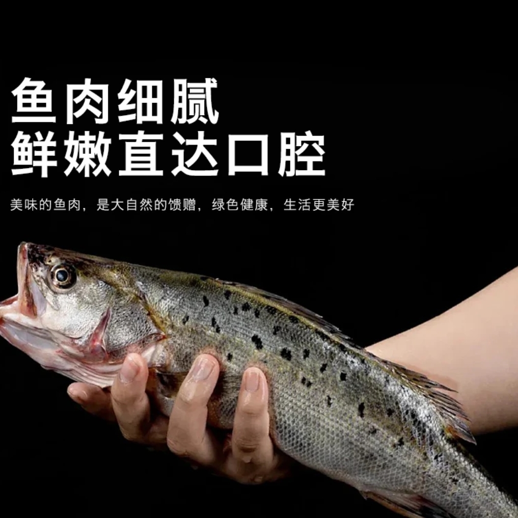 【新疆包邮】开背海鲈鱼新鲜冷冻三去鲜嫩美味500g