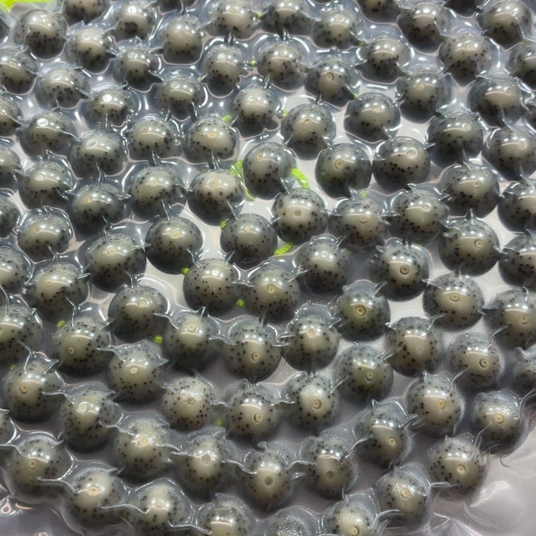 星月菩提手串石玉10圆