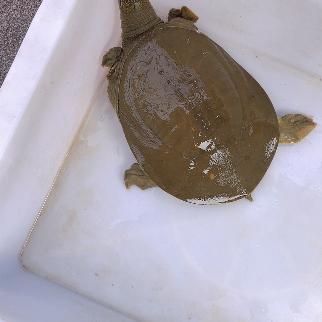 中国大陆12345678