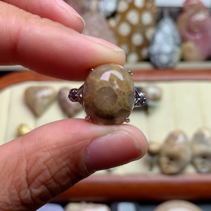 硅化珊瑚（珊瑚玉）颈饰未镶嵌