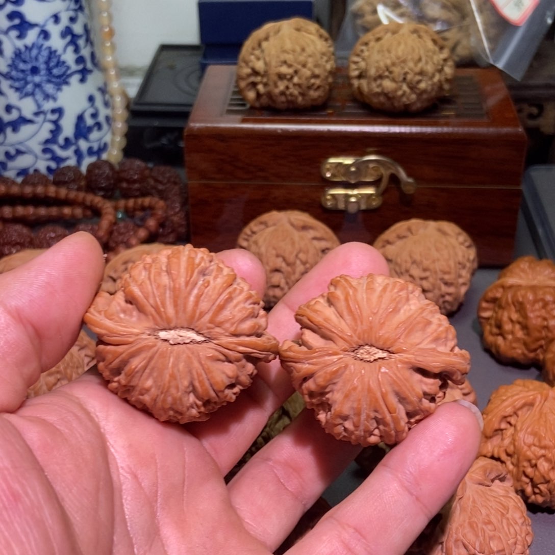 桃核把件?*?白狮子核桃