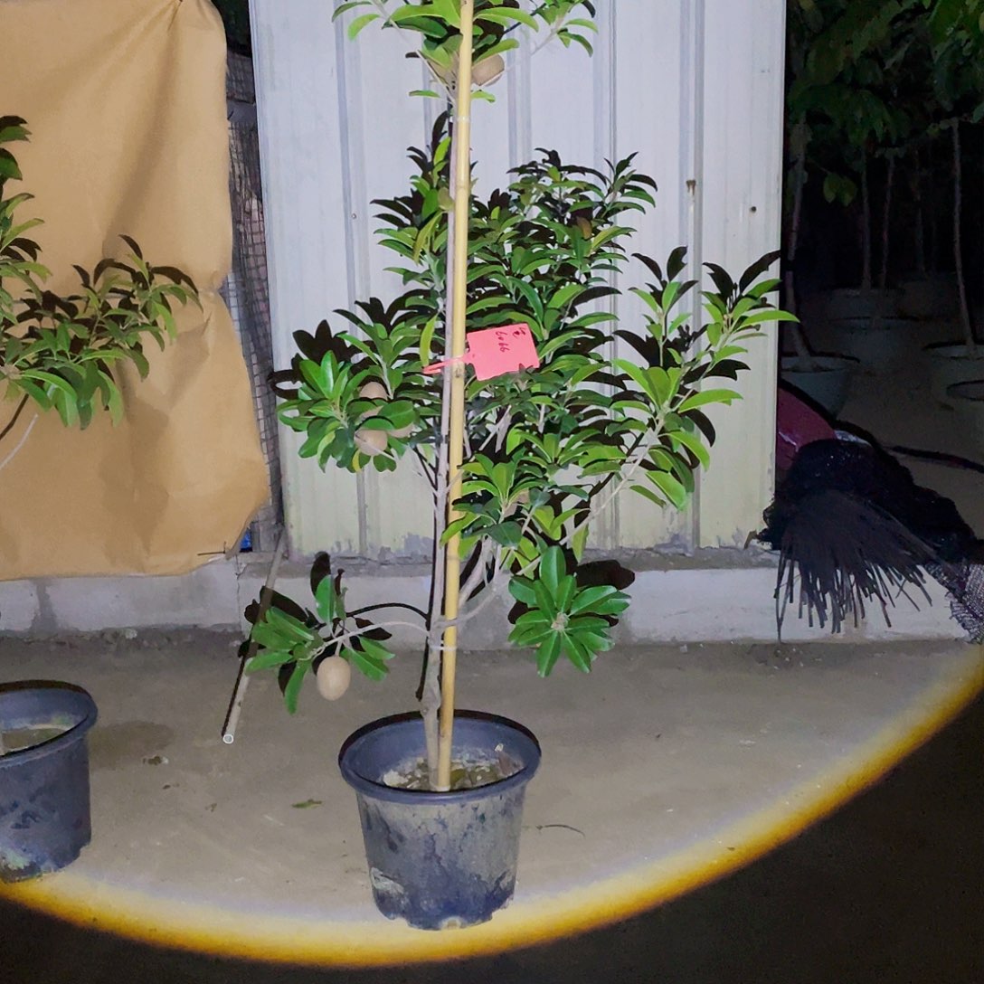 完全开放笔**场g m 88888888888