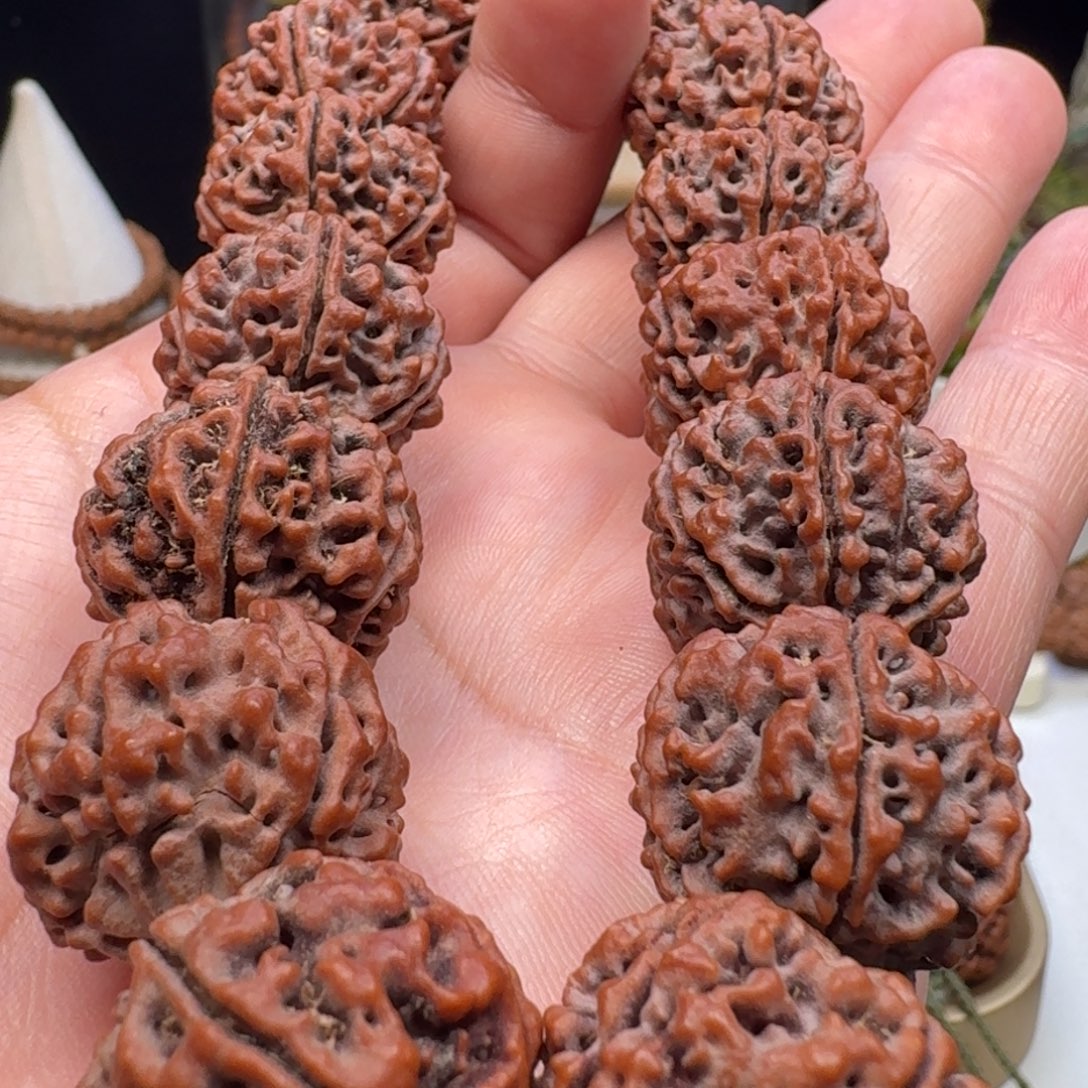 金刚菩提手串蜂窝双龙