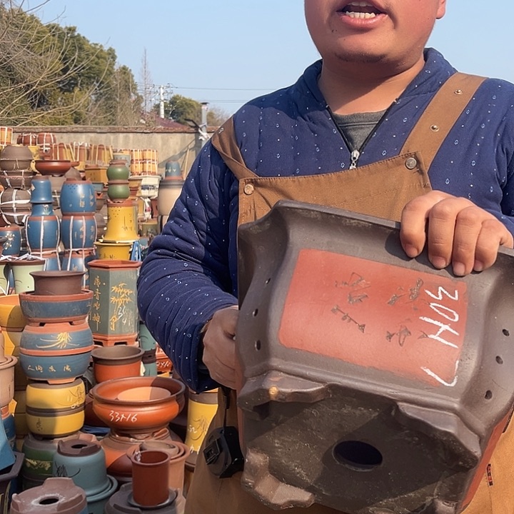 紫砂紫砂花盆盆栽