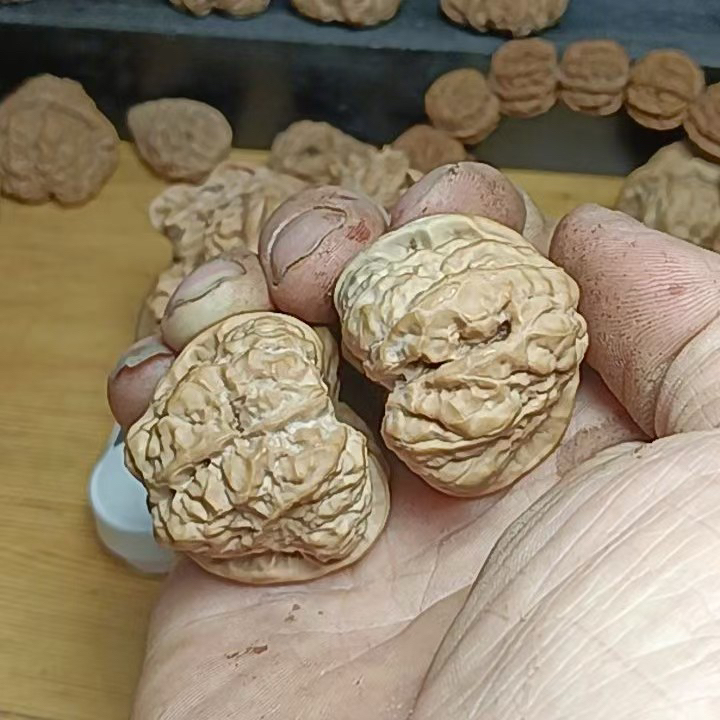 延庆正宗蛤蟆头老树文玩核桃，骨质好