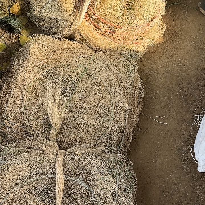 八***财鱼笼51292666626256952