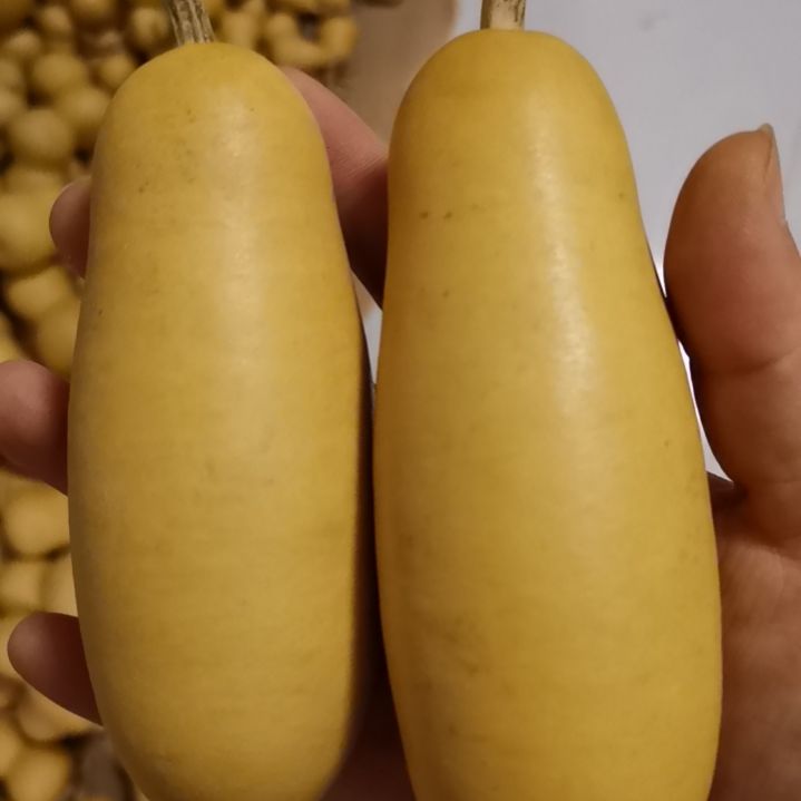 奶***ಣ自然葫芦专拍链接