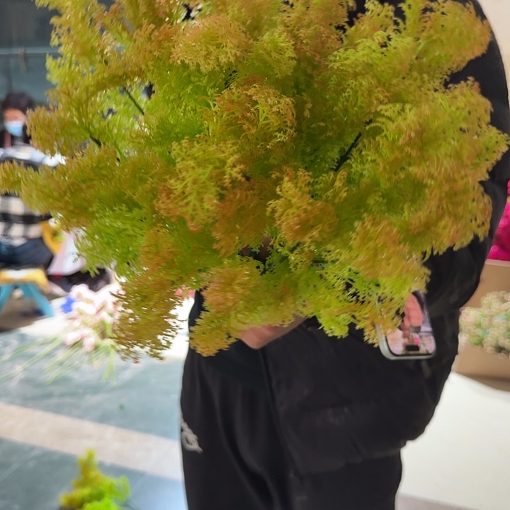 浅绿色把草仿真10把