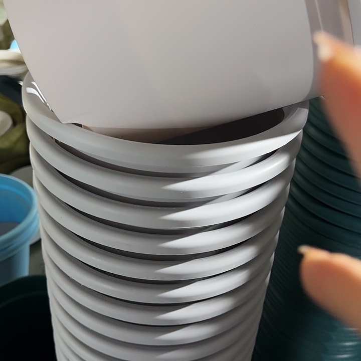 四季6号灰白无托7个特价