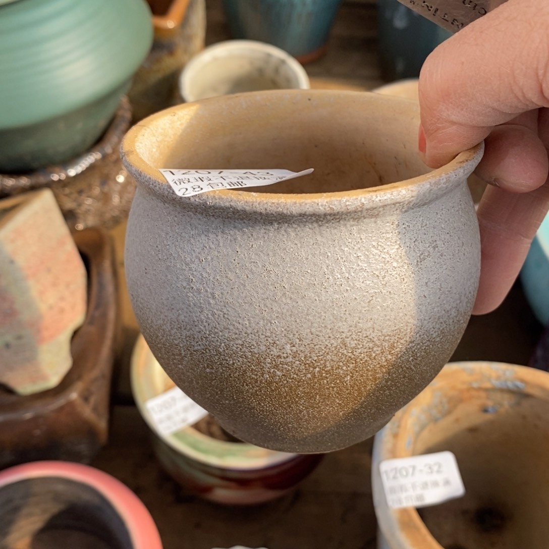 43号多肉盆口径6小可爱