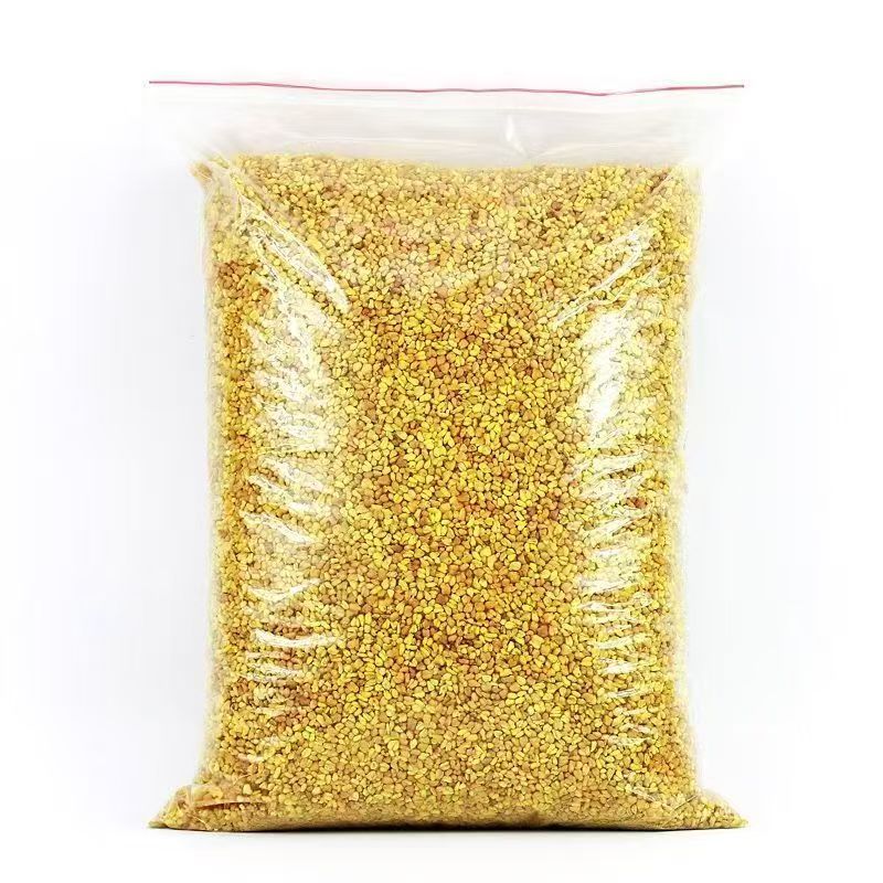 四川特级黄苦荞茶正宗袋装正品苦荞茶