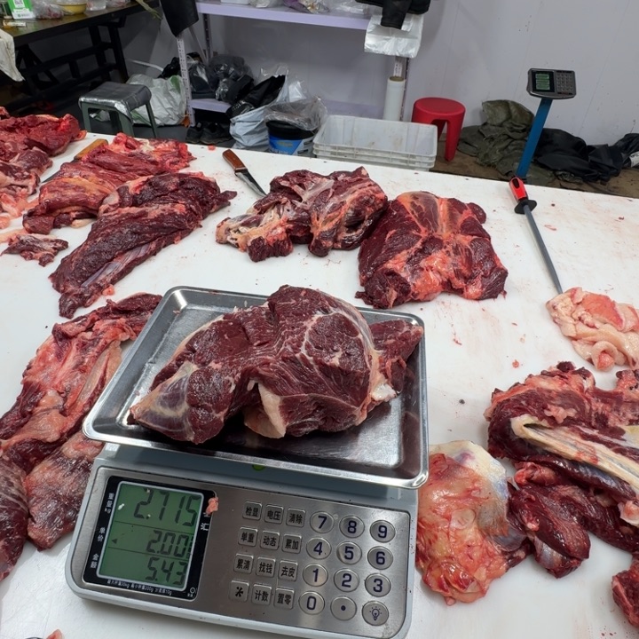 贵***姜12个月中国大陆马腿肉