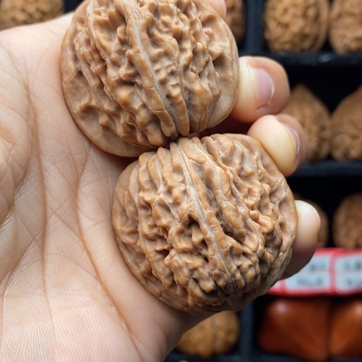 静***凉核桃楼子41尺全品