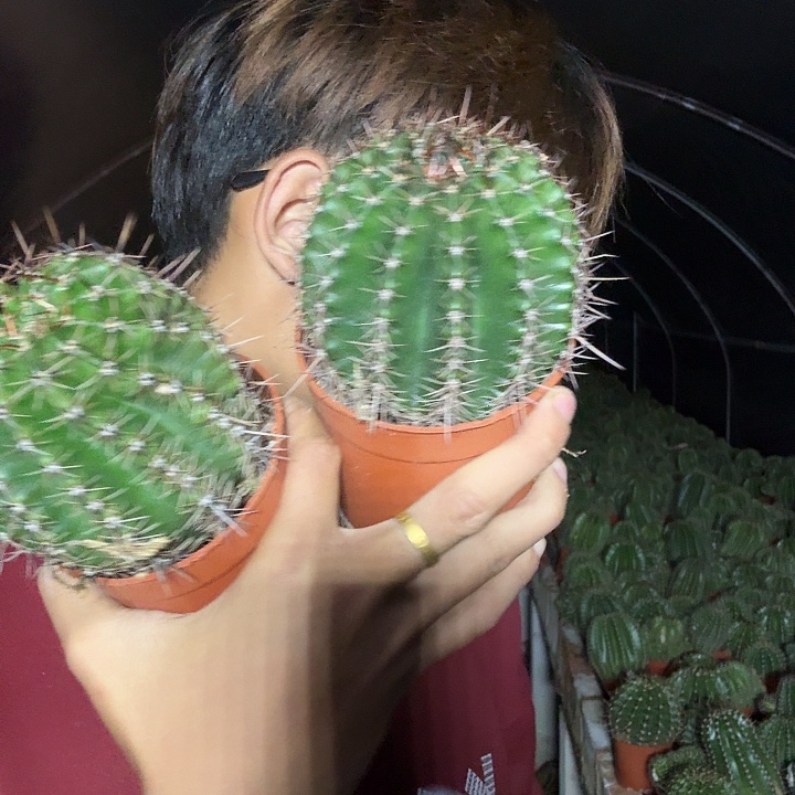周***姐无花朵彩草哈哈哈哈哈哈哈哈