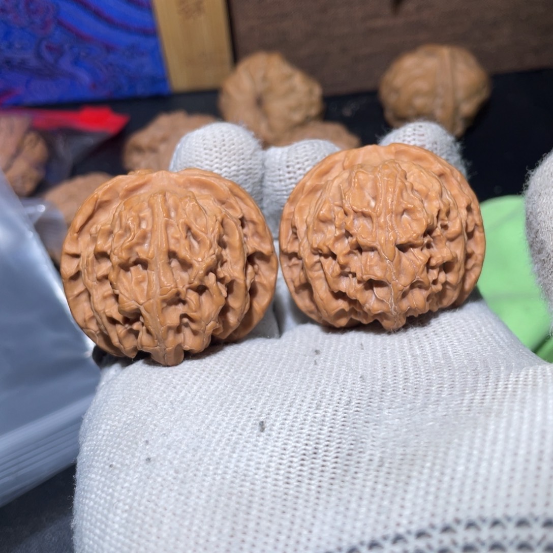 大叶紫檀（黑酸枝木类）全品苹果园