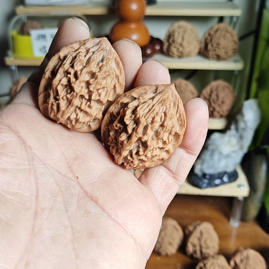 38尺寸，秦岭野生鸡心金钱眼
