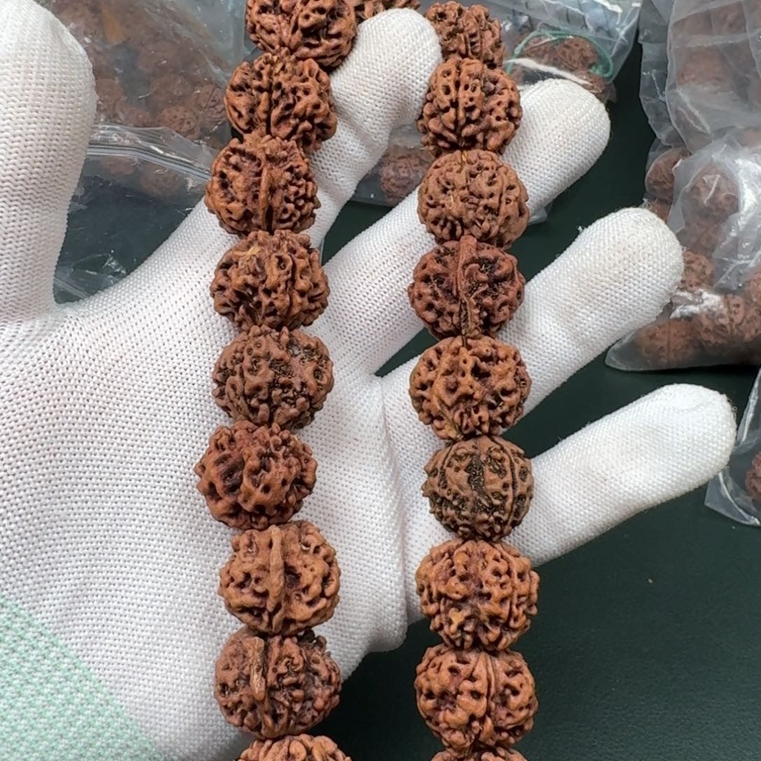 手串金刚菩提20海星1号体验串