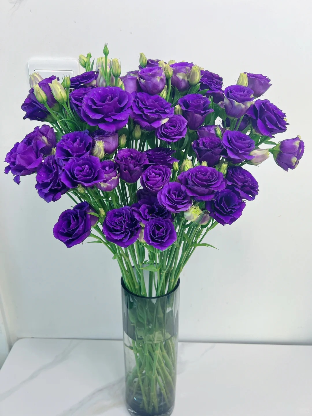 （蔓蔓）紫色洋桔梗1扎 20%防损 1单包邮