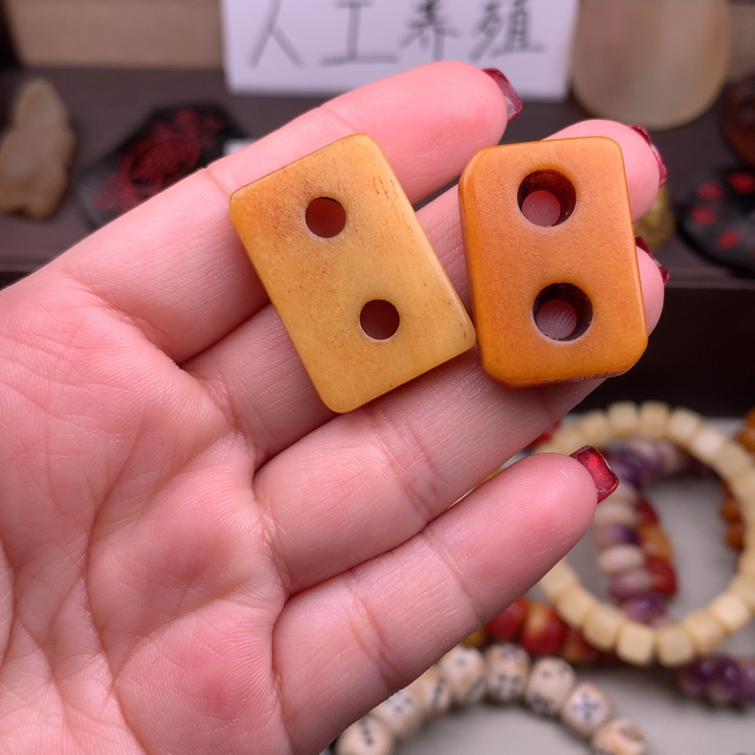 驼骨其他好看驼骨 