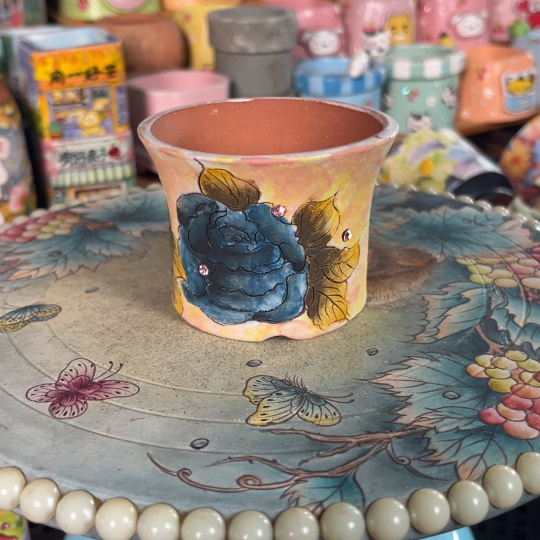 玛***治285多肉花盆45元1个