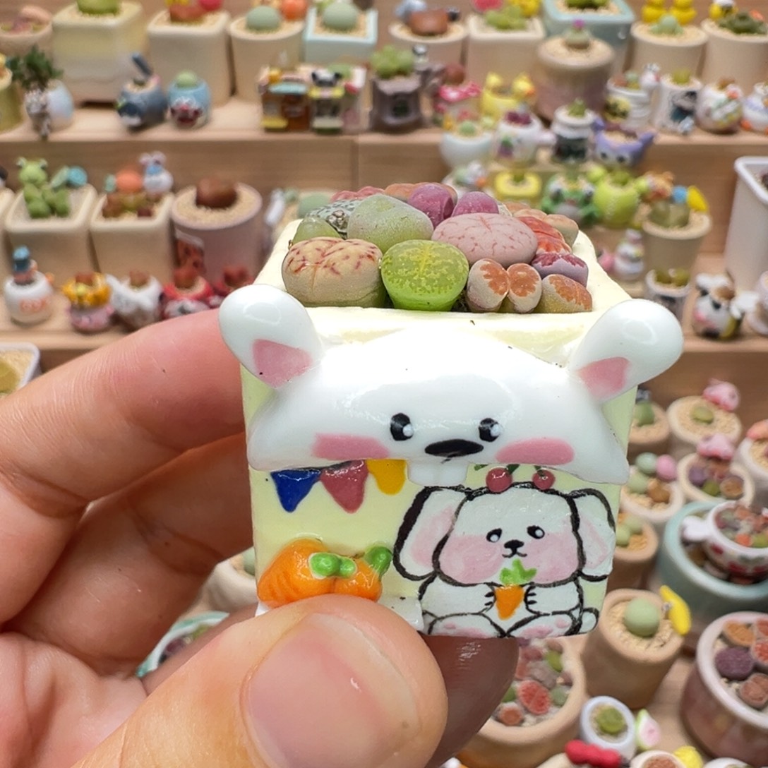 多肉植物57号彩色