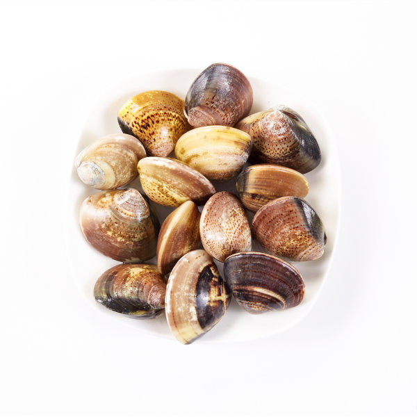 靓贝青蛾（活）（吐沙）(约500g)