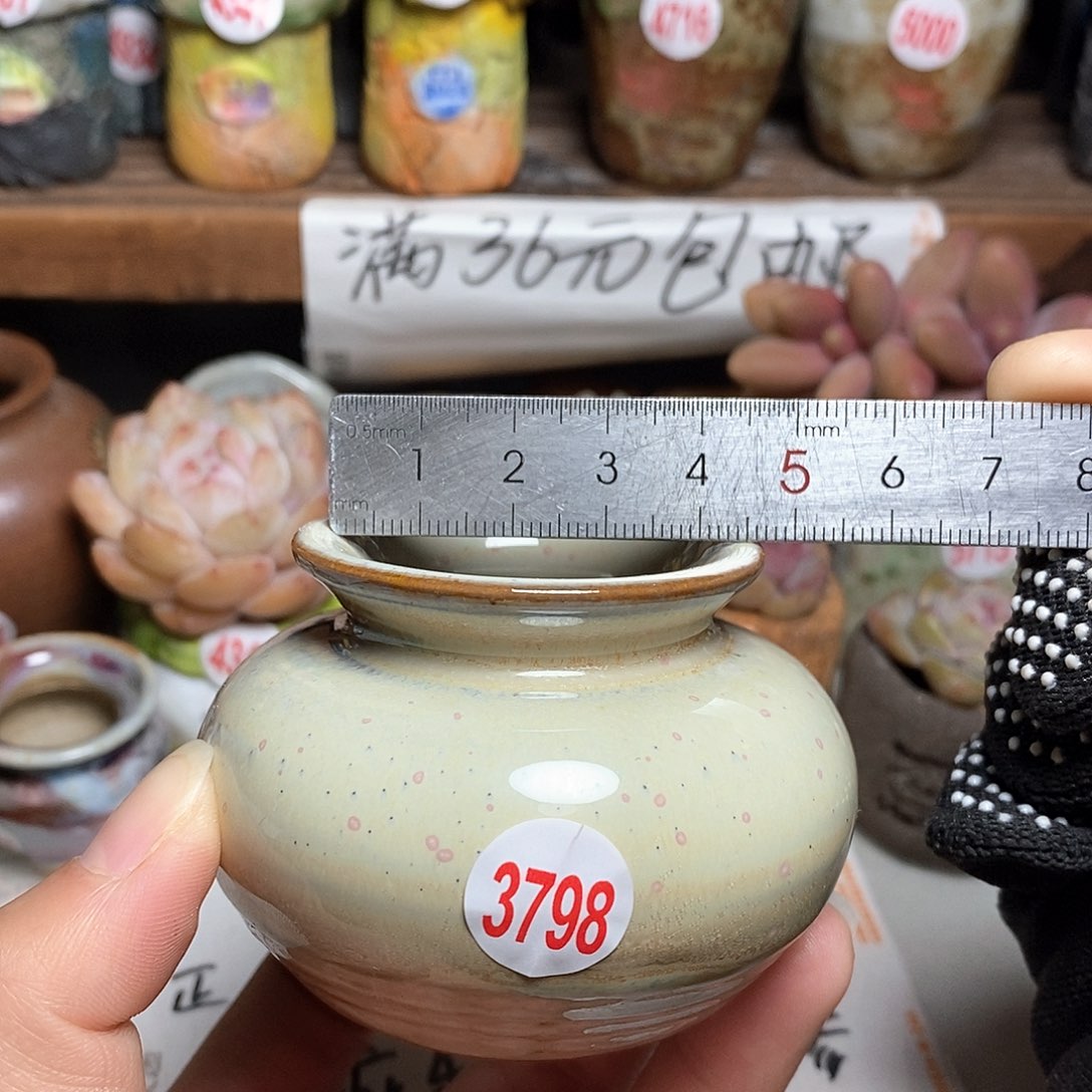 红陶拍5送一个小