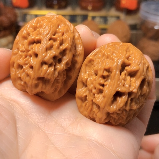 野生小众：精品红莲