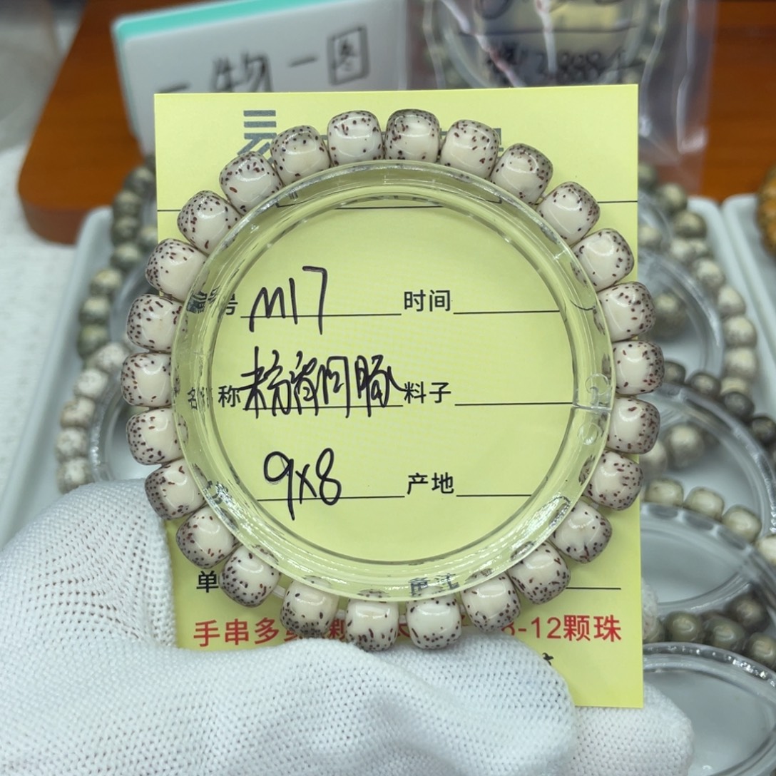 今***鱼菩提籽类M粉背河豚