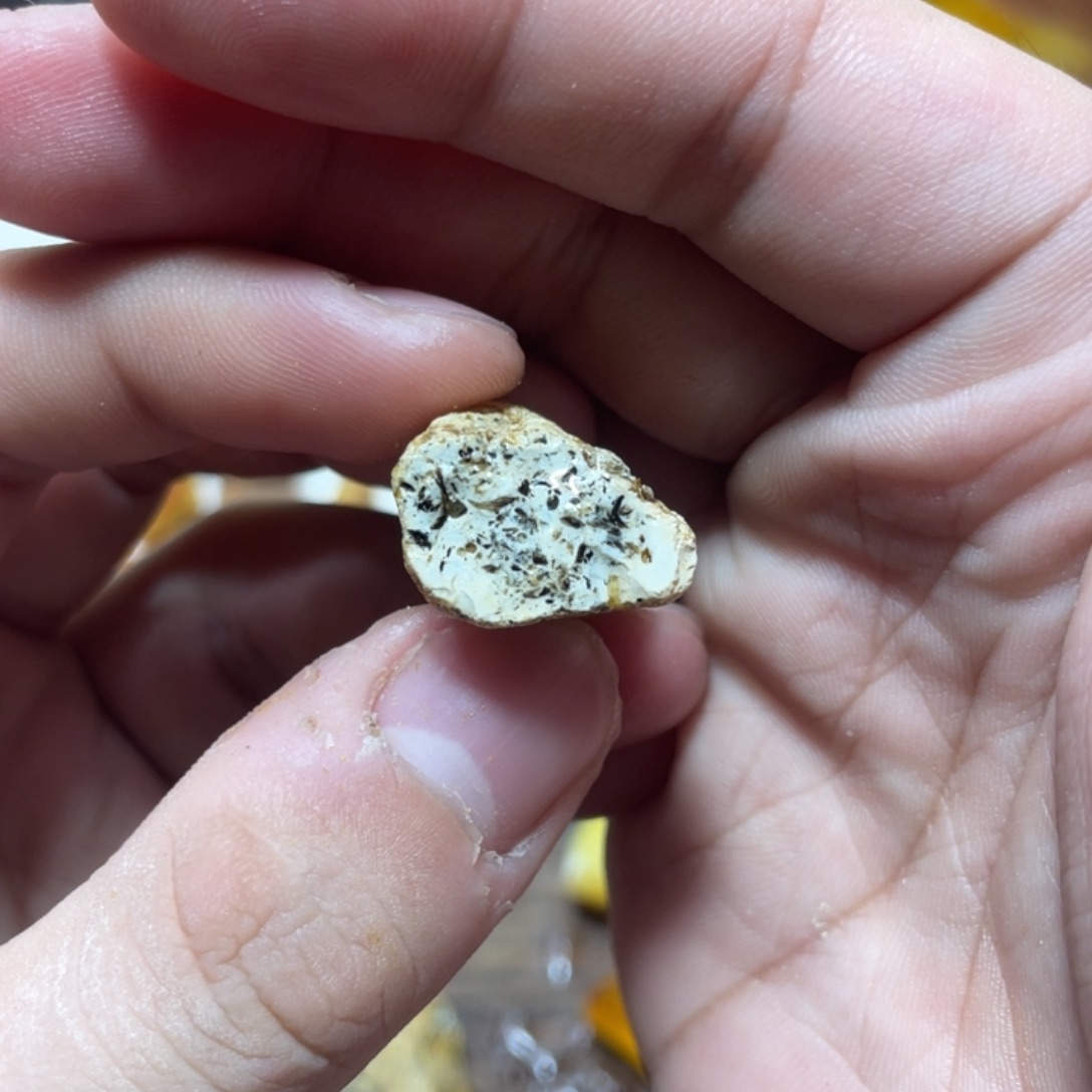 定制琥珀天然原矿