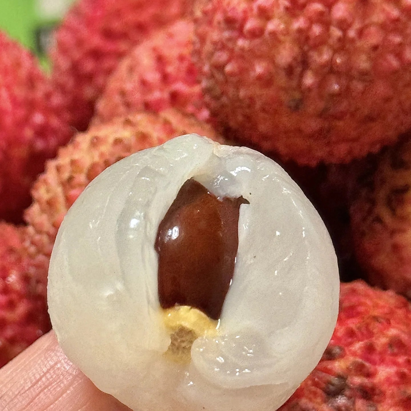 海南桂味荔枝（1-3斤）海南省